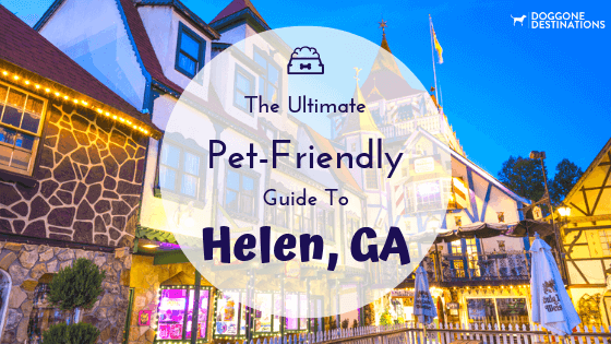 The Ultimate Guide To The Best Pet Friendly Things To Do In Helen Ga