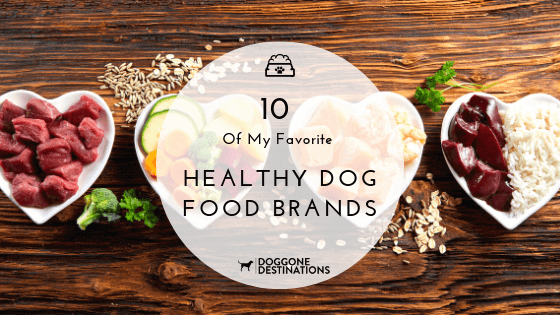 10 Of My Favorite Healthy Dog Food Brands Right Now